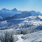 Hubertus Enzian Апартаменты Кирхбах