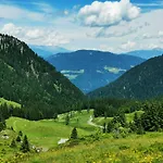 Апартаменты Hubertus Enzian *