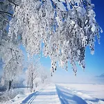 Hubertus Enzian Апартаменты *