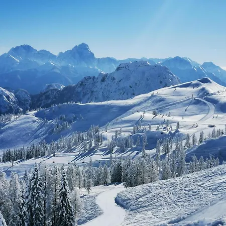 Hubertus Enzian Kirchbach (Carinthia)