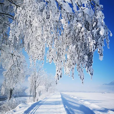 Hubertus Enzian Appartamento *