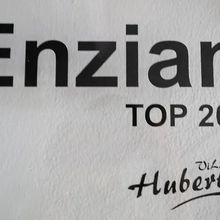 Hubertus Enzian Apartament
