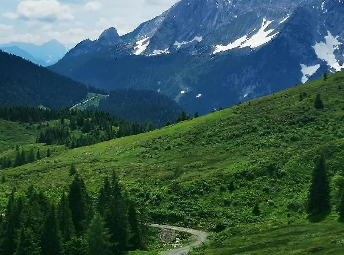 Hubertus Enzian * Kirchbach (Carinthia)