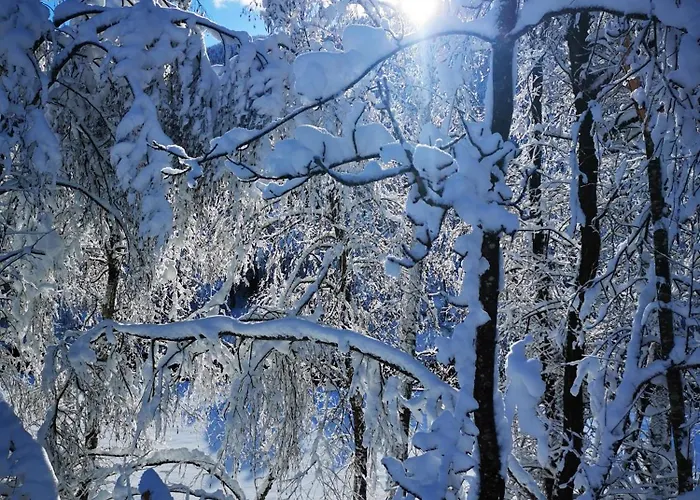 Hubertus Enzian Kirchbach (Carinthia)