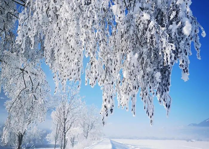 Hubertus Enzian Apartament *